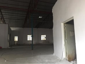 公明新出精品小獨院鋼結構帶噴淋廠房1500平